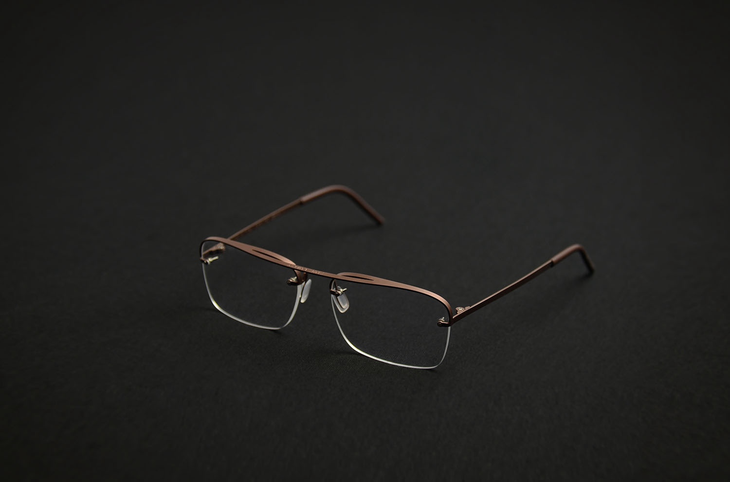 condor LANGLEY  in  bronze 